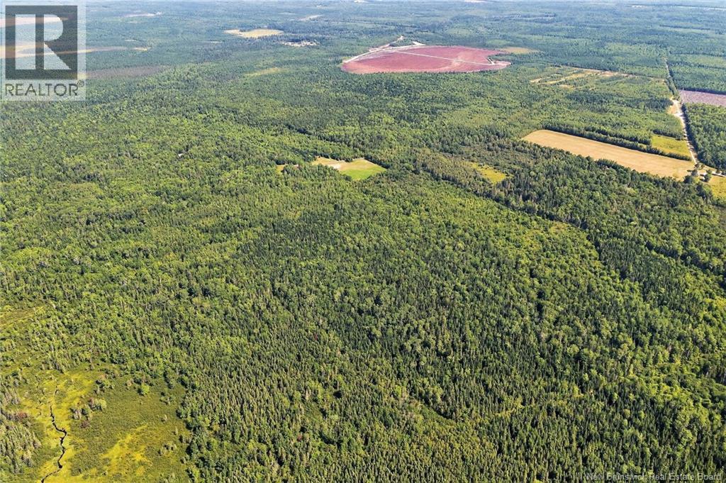 Lot Richard Road, Saint-Paul, New Brunswick  E4T 3T5 - Photo 18 - NB124896
