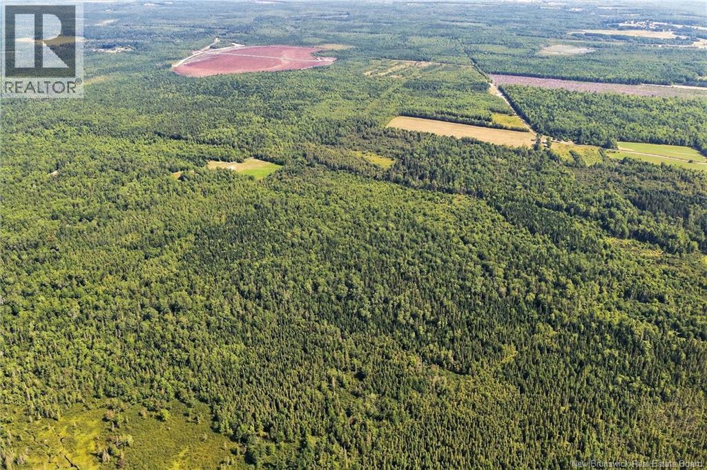 Lot Richard Road, Saint-Paul, New Brunswick  E4T 3T5 - Photo 19 - NB124896