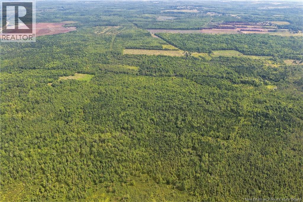 Lot Richard Road, Saint-Paul, New Brunswick  E4T 3T5 - Photo 20 - NB124896