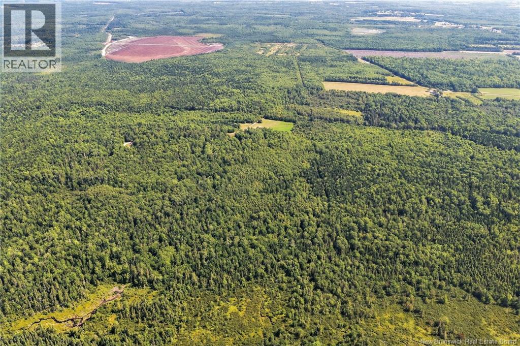 Lot Richard Road, Saint-Paul, New Brunswick  E4T 3T5 - Photo 21 - NB124896