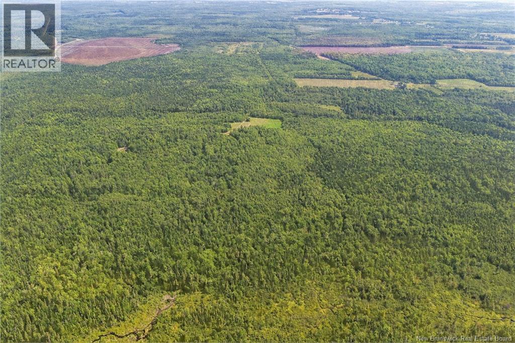 Lot Richard Road, Saint-Paul, New Brunswick  E4T 3T5 - Photo 22 - NB124896