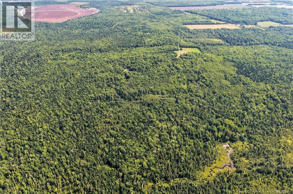 Lot Richard Road, Saint-Paul, New Brunswick  E4T 3T5 - Photo 23 - NB124896
