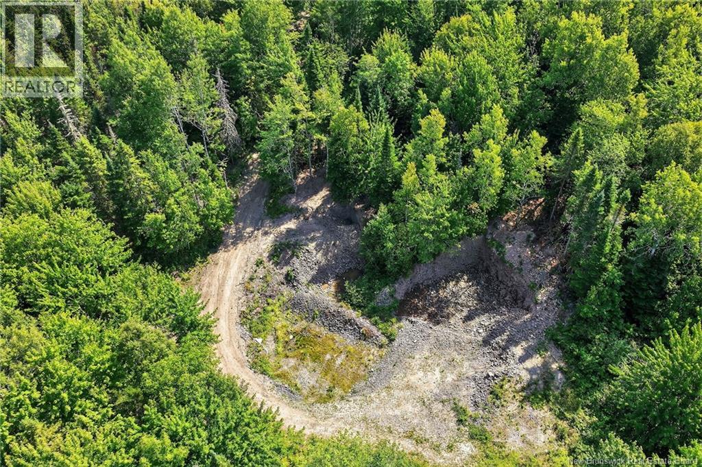 Lot Richard Road, Saint-Paul, New Brunswick  E4T 3T5 - Photo 3 - NB124896