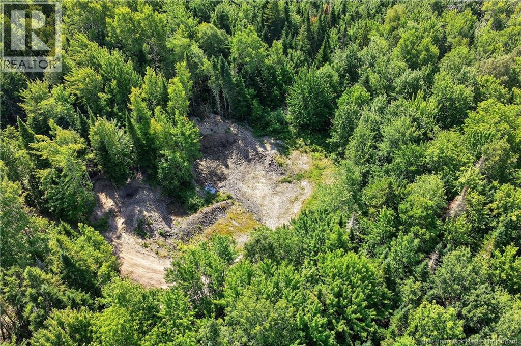 Lot Richard Road, Saint-Paul, New Brunswick  E4T 3T5 - Photo 4 - NB124896