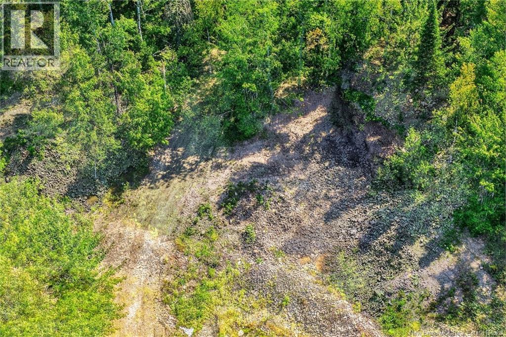 Lot Richard Road, Saint-Paul, New Brunswick  E4T 3T5 - Photo 5 - NB124896