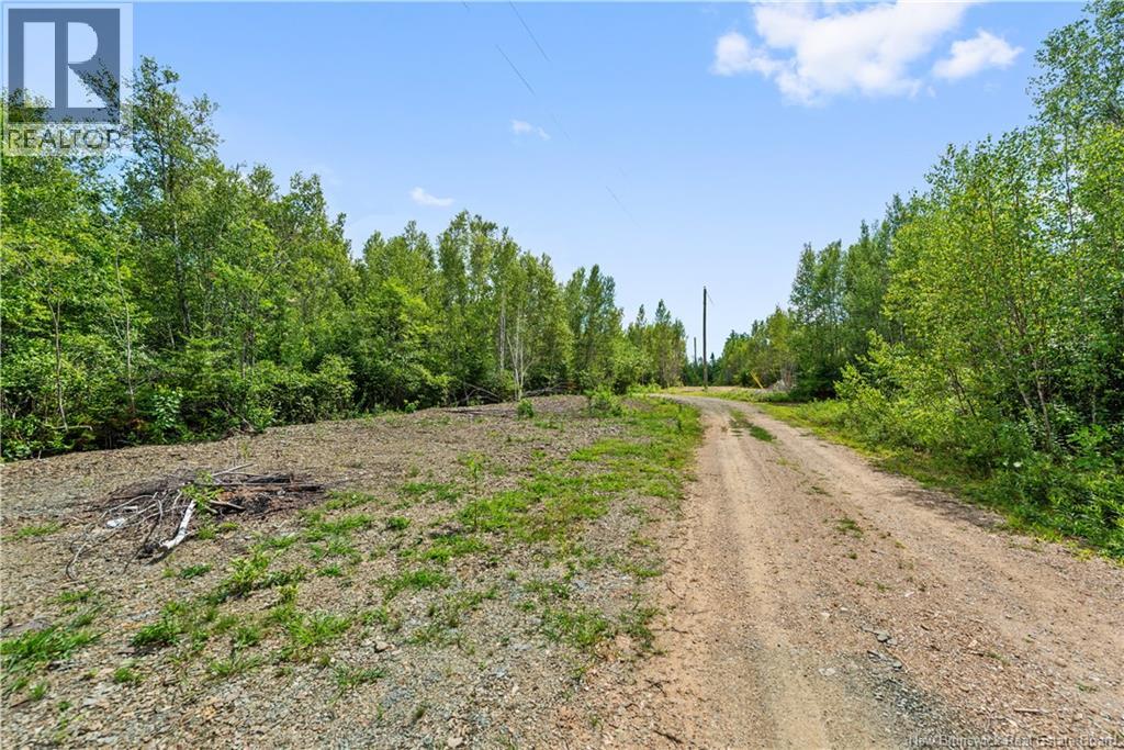 474 Cherryvale Road, Canaan Station, New Brunswick  E4Z 5X5 - Photo 23 - NB124693