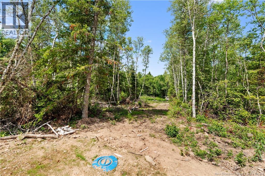 474 Cherryvale Road, Canaan Station, New Brunswick  E4Z 5X5 - Photo 24 - NB124693