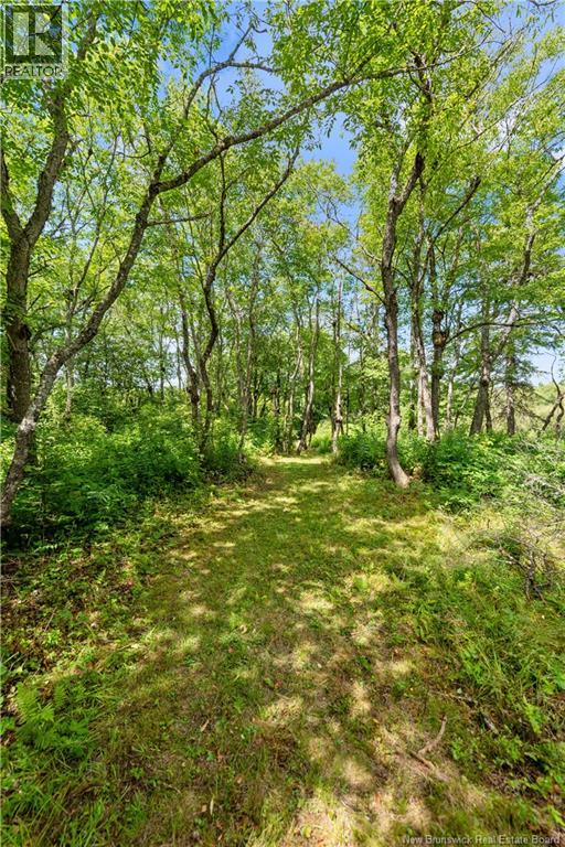 474 Cherryvale Road, Canaan Station, New Brunswick  E4Z 5X5 - Photo 27 - NB124693