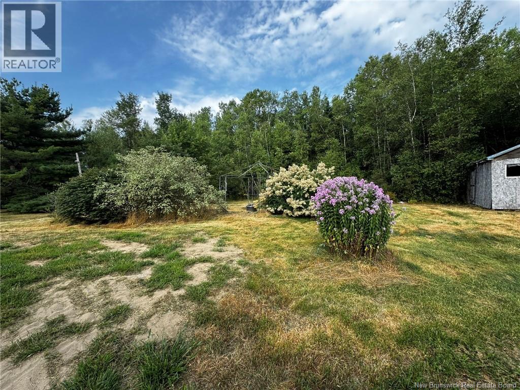 12454 Hwy 126, Murray Settlement, New Brunswick  E4Y 2S4 - Photo 3 - NB124929