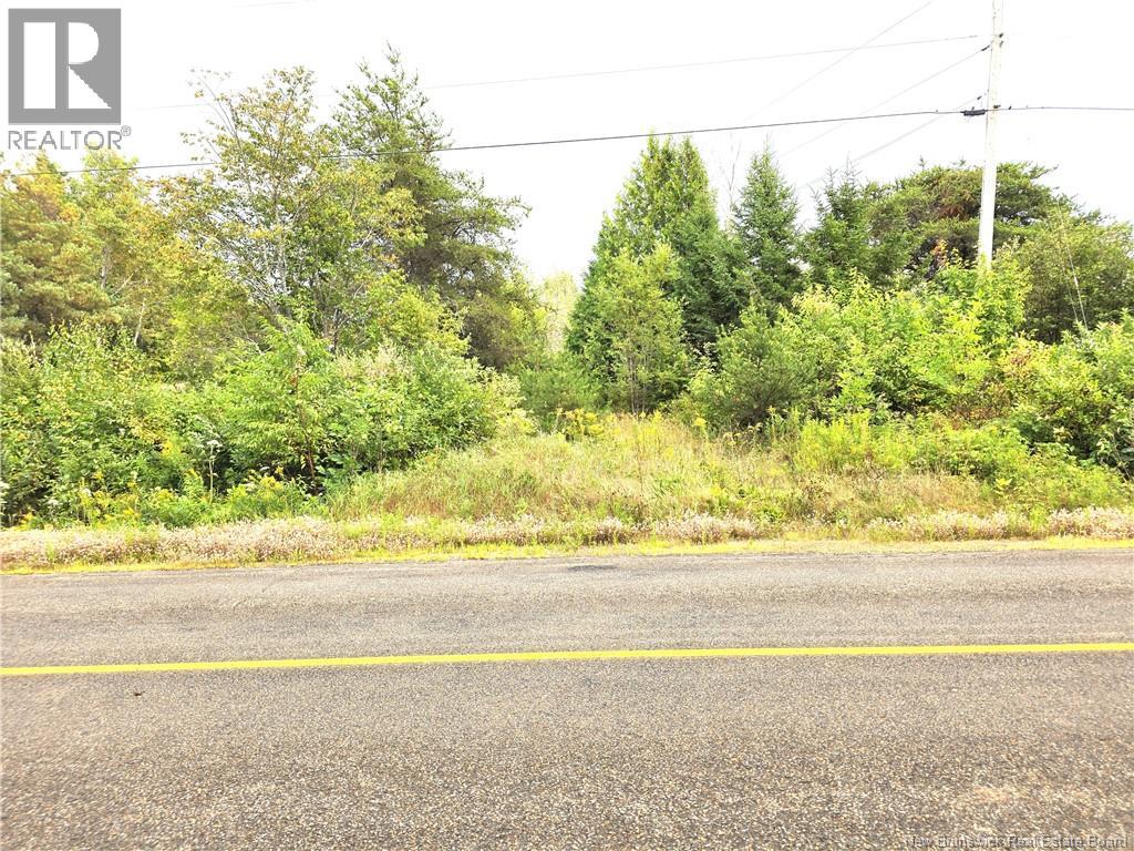1289 Scenic Narrows Boulevard, Cambridge-Narrows, New Brunswick  E4C 2N5 - Photo 3 - NB124944
