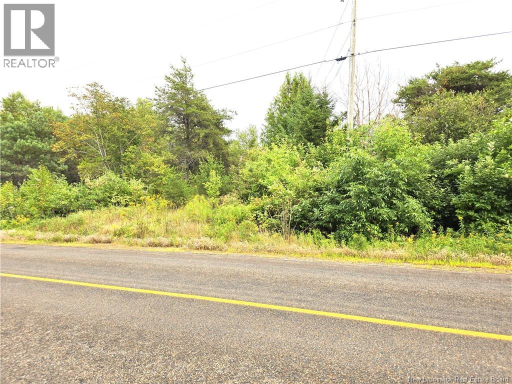 1289 Scenic Narrows Boulevard, Cambridge-Narrows, New Brunswick  E4C 2N5 - Photo 4 - NB124944