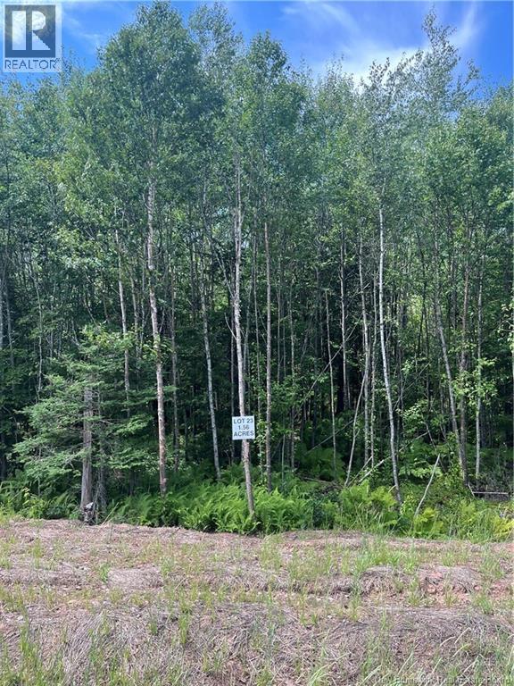 lot Cedarwood Drive, Lakeside, New Brunswick