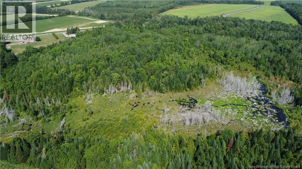 0 Raymond, Simonds, New Brunswick  E7P 2X2 - Photo 6 - NB124992