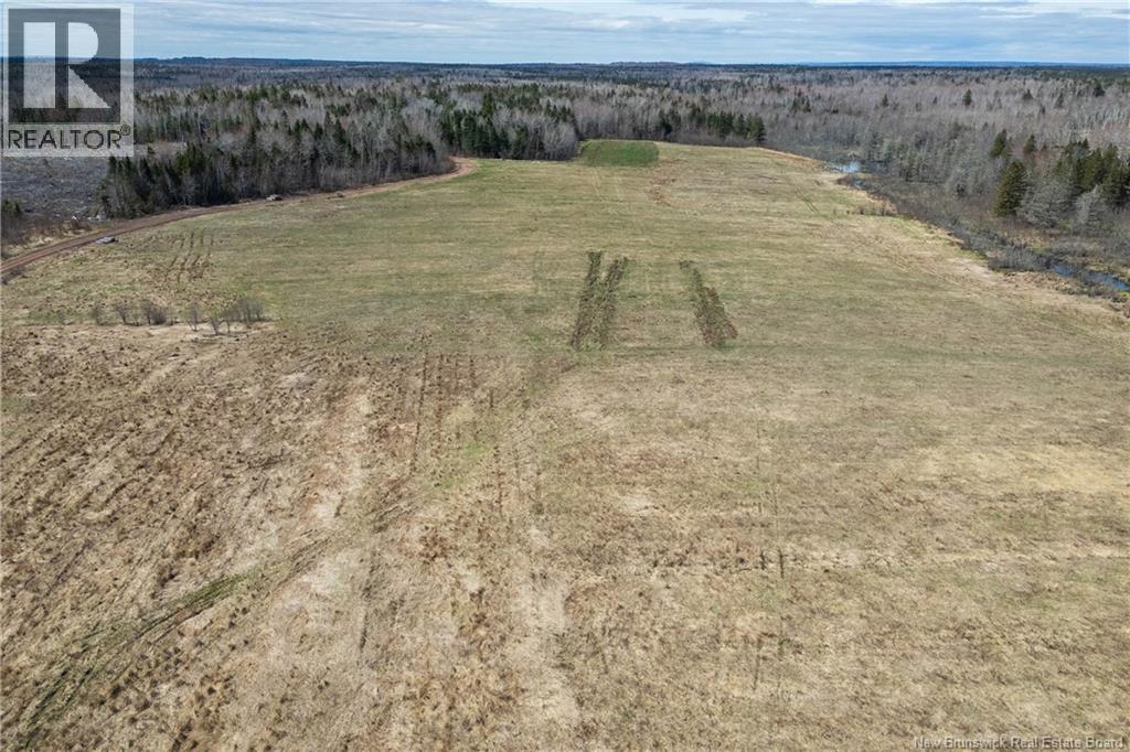 98 Coburg Road, Coburg, New Brunswick  E4M 1M7 - Photo 46 - NB125027