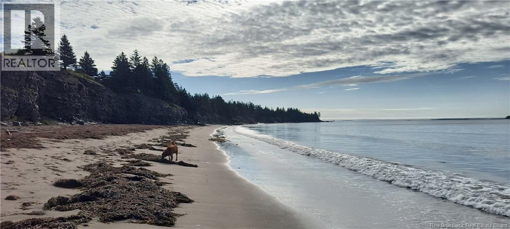 1908 Rte 776 Route, Grand Manan, New Brunswick  E5G 3H2 - Photo 10 - NB125004
