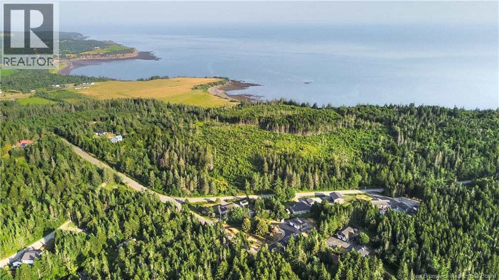 73 Old Black River Road, Black River, New Brunswick  E2S 1Z5 - Photo 49 - NB124858