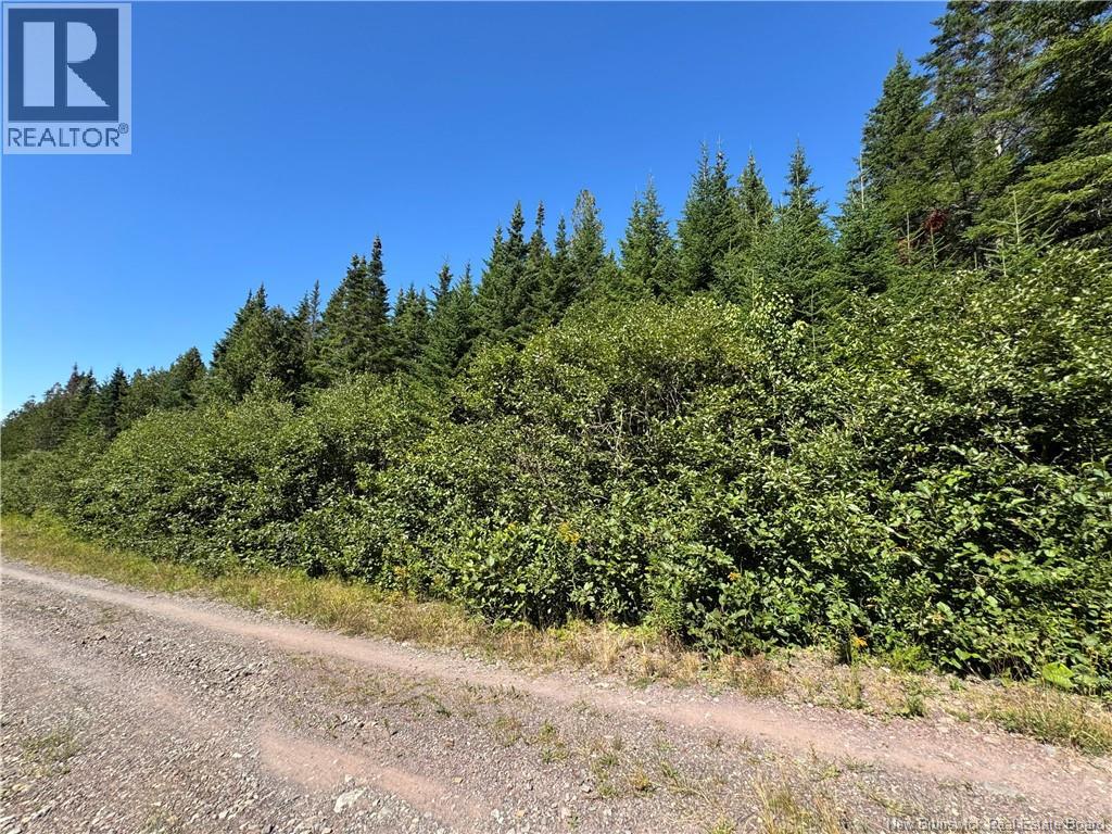 Clover Valley Road, Clover Valley, New Brunswick  E2S 1E6 - Photo 11 - NB125019