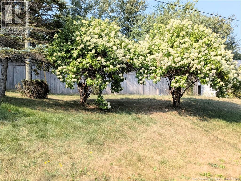 2 Bushville Drive, Miramichi, New Brunswick  E1N 4R4 - Photo 6 - NB124785