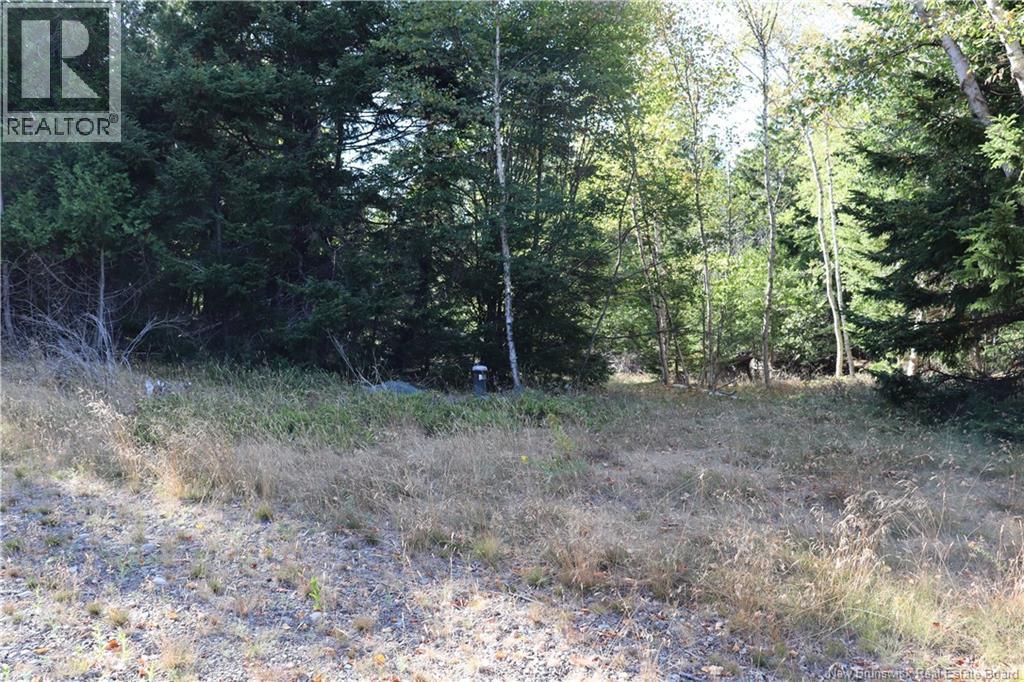 98 Richardson Road, Richardson, New Brunswick  E5V 1S5 - Photo 14 - NB125146