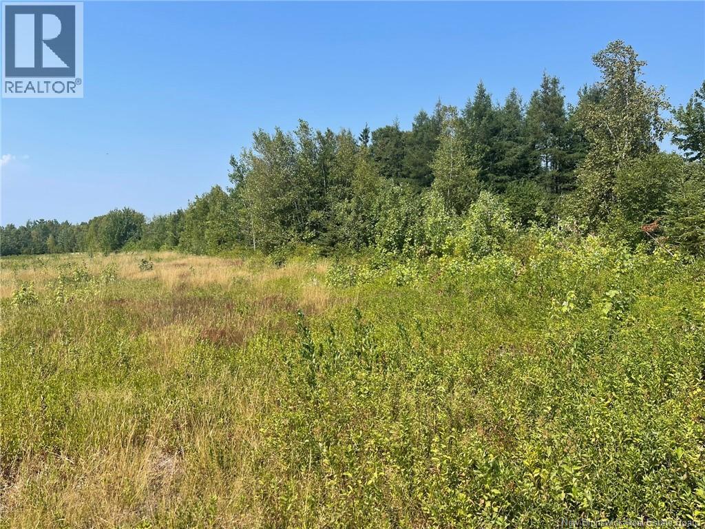 Herbert Road, Pokemouche, New Brunswick  E8P 1G7 - Photo 10 - NB125136
