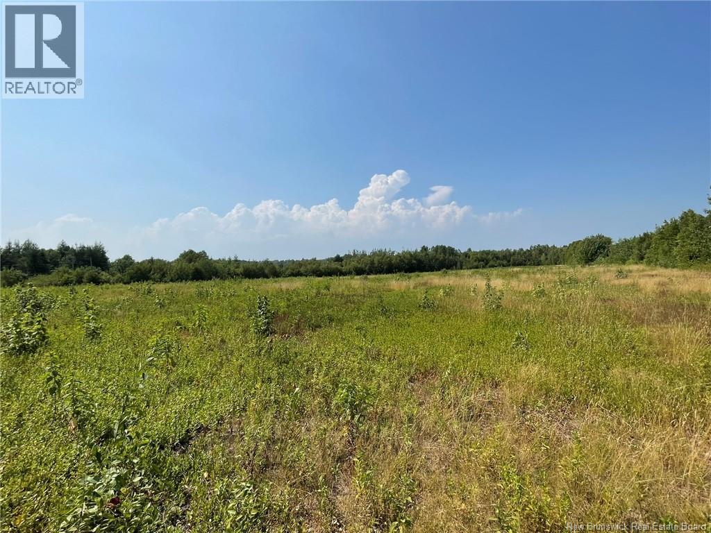 Herbert Road, Pokemouche, New Brunswick  E8P 1G7 - Photo 11 - NB125136