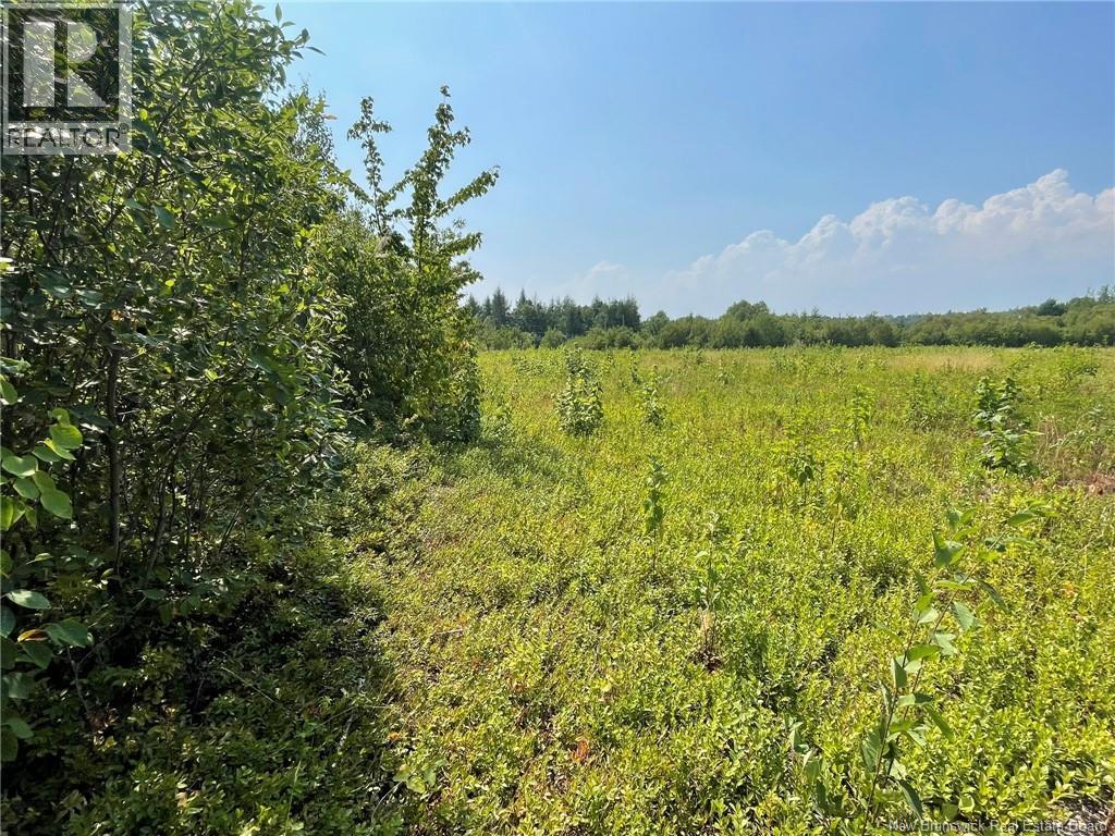 Herbert Road, Pokemouche, New Brunswick  E8P 1G7 - Photo 13 - NB125136