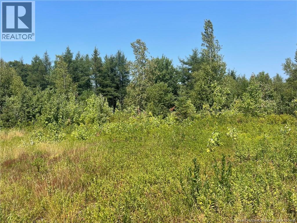 Herbert Road, Pokemouche, New Brunswick  E8P 1G7 - Photo 14 - NB125136