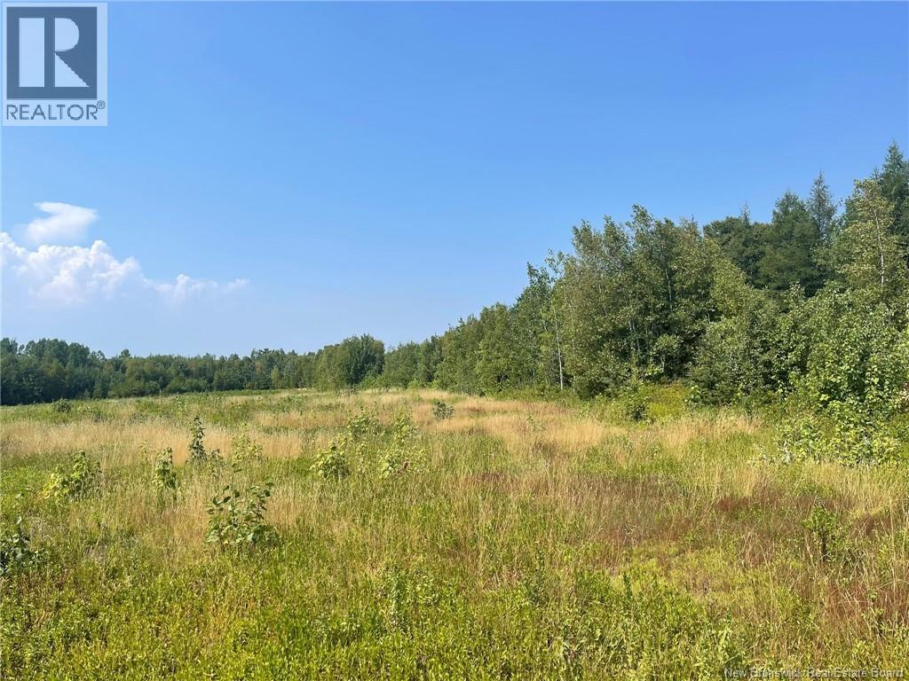 Herbert Road, Pokemouche, New Brunswick  E8P 1G7 - Photo 15 - NB125136