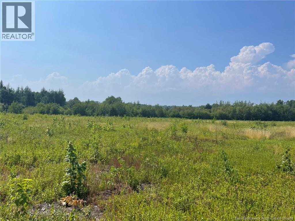 Herbert Road, Pokemouche, New Brunswick  E8P 1G7 - Photo 16 - NB125136