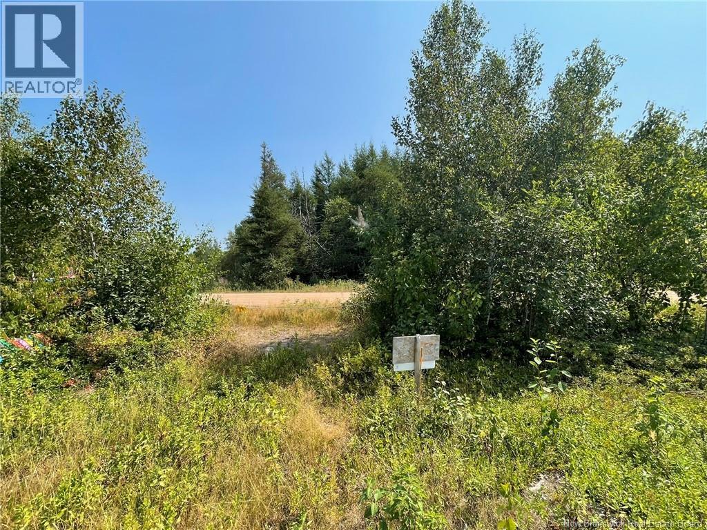 Herbert Road, Pokemouche, New Brunswick  E8P 1G7 - Photo 7 - NB125136