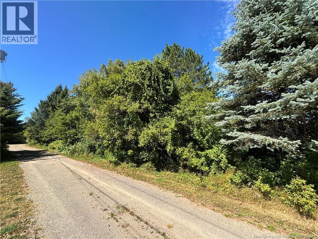 1090 Route 134, Petit-Rocher-Sud, New Brunswick  E8J 1A4 - Photo 20 - NB124045