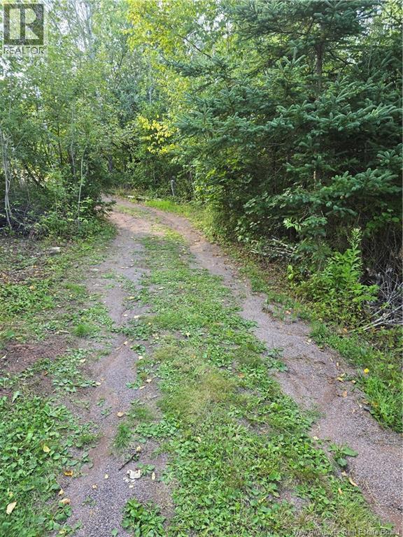 39 Cross Road, Memramcook, New Brunswick  E4K 1E2 - Photo 22 - NB125115