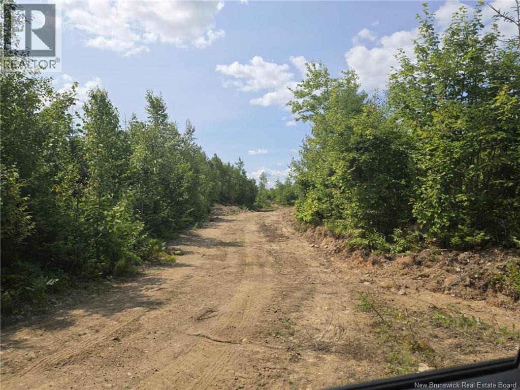349 Bellefond Road, Bellefond, New Brunswick  E1V 4T6 - Photo 23 - NB125268
