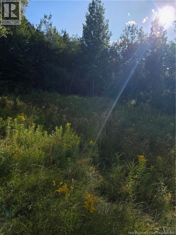Lot Greenhill Lake Road, Nackawic, New Brunswick  E6E 1E9 - Photo 2 - NB125155