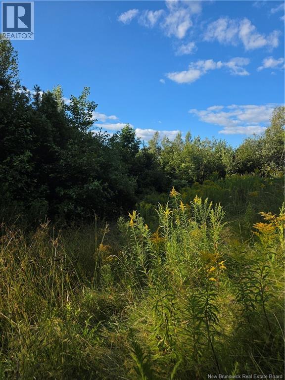 Lot Greenhill Lake Road, Nackawic, New Brunswick  E6E 1E9 - Photo 3 - NB125155
