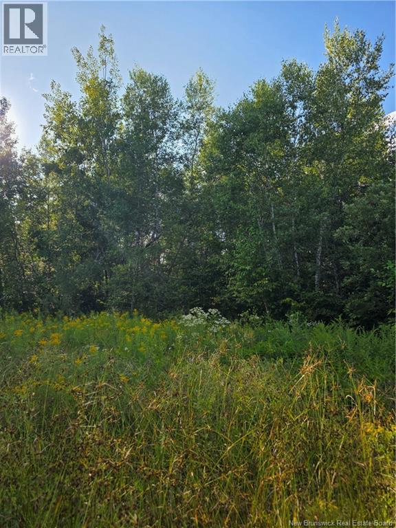 Lot Greenhill Lake Road, Nackawic, New Brunswick  E6E 1E9 - Photo 4 - NB125155