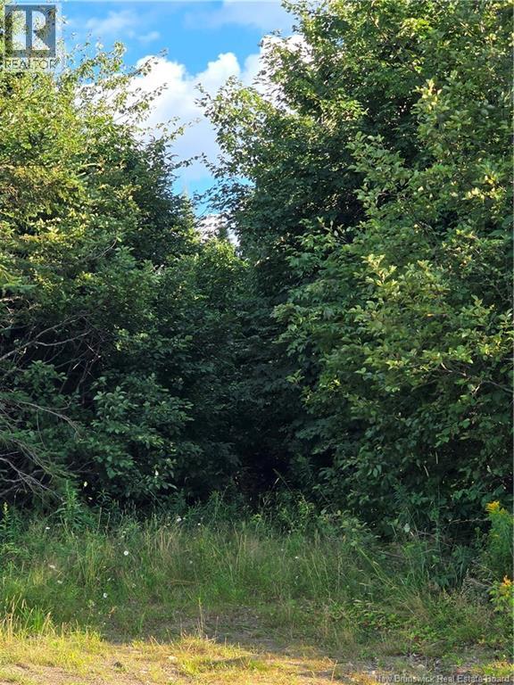 Lot Greenhill Lake Road, Nackawic, New Brunswick  E6E 1E9 - Photo 5 - NB125155
