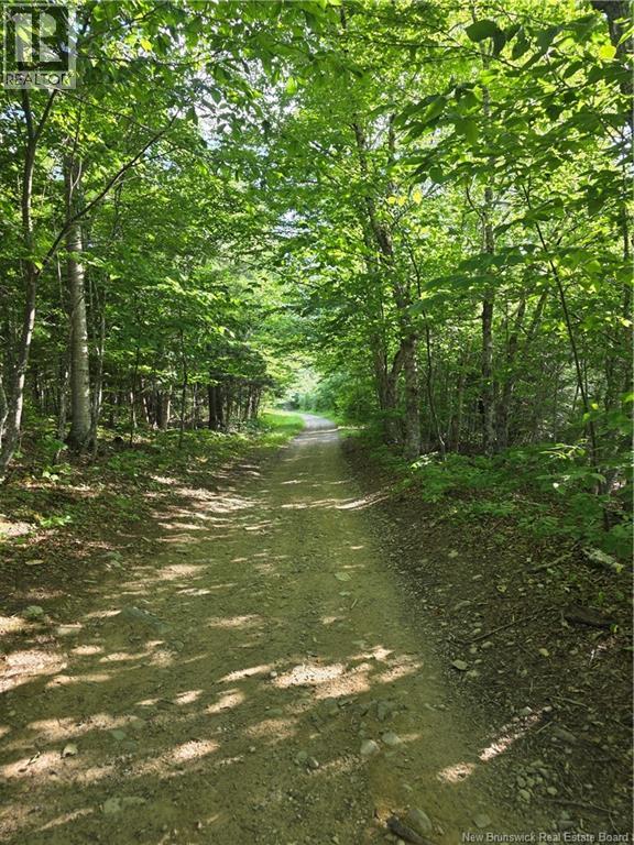 124 Greenhill Lake Road, Nackawic, New Brunswick  E6E 1E9 - Photo 12 - NB125150