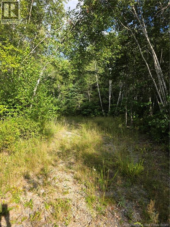 124 Greenhill Lake Road, Nackawic, New Brunswick  E6E 1E9 - Photo 2 - NB125150