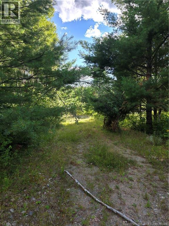 124 Greenhill Lake Road, Nackawic, New Brunswick  E6E 1E9 - Photo 3 - NB125150