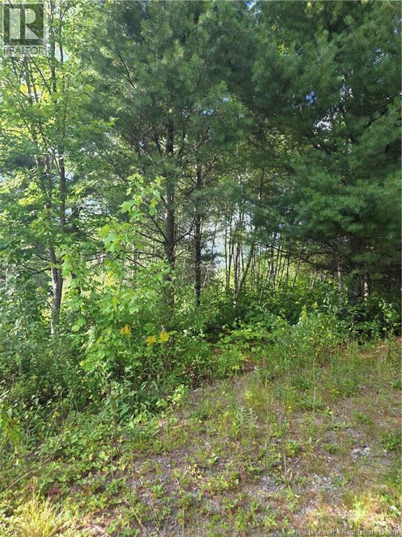 124 Greenhill Lake Road, Nackawic, New Brunswick  E6E 1E9 - Photo 5 - NB125150