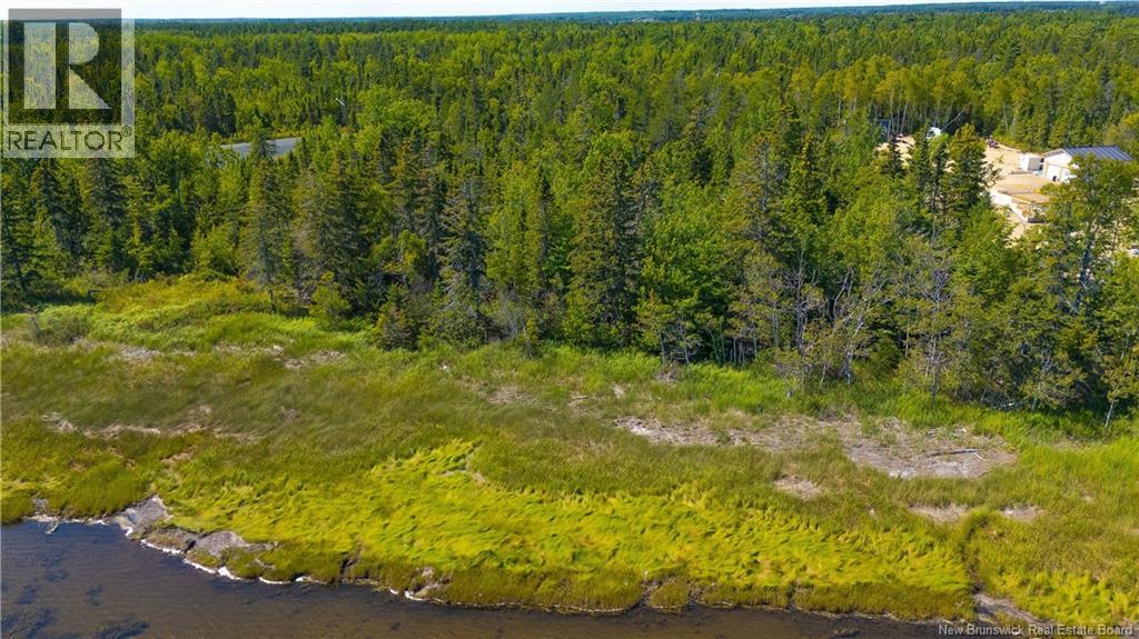 Lot Rue De L'outarde Street, Pointe-Des-Robichaud, New Brunswick  E1X 4G7 - Photo 4 - NB125307