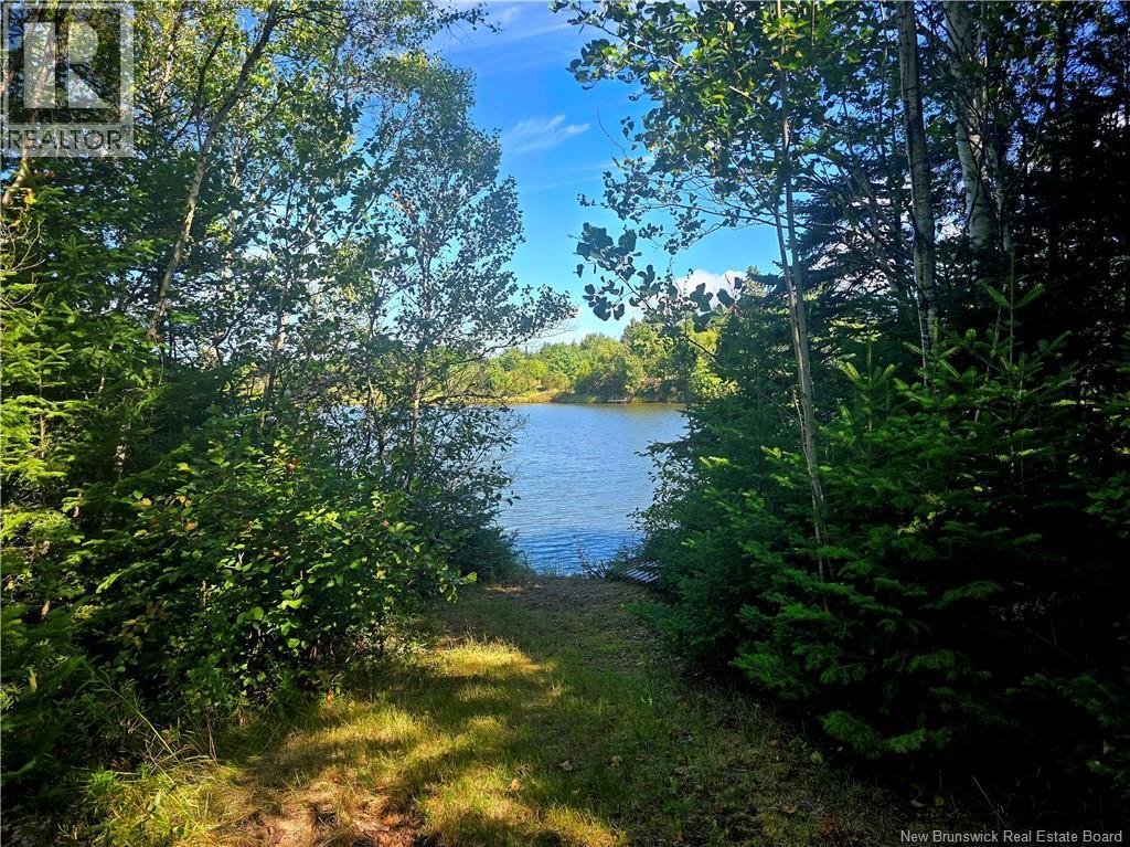 6396sm Ch Pointe à Tom, Pointe-À-Tom, New Brunswick  E1X 3X4 - Photo 4 - NB125266
