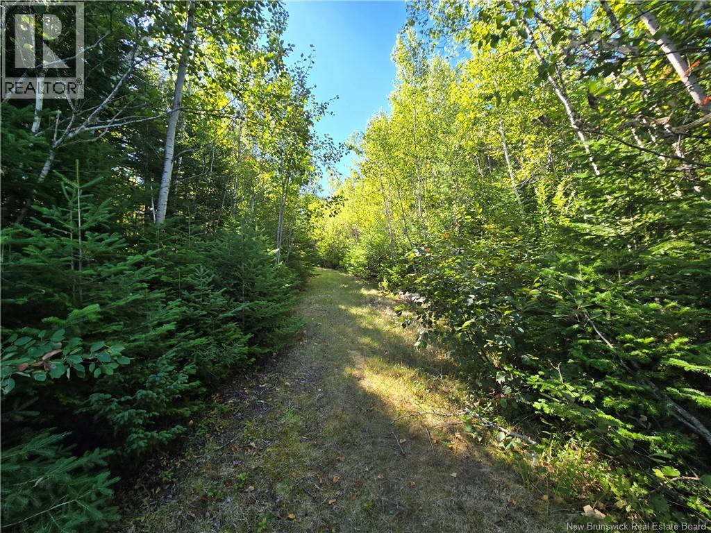 6396sm Ch Pointe à Tom, Pointe-À-Tom, New Brunswick  E1X 3X4 - Photo 5 - NB125266