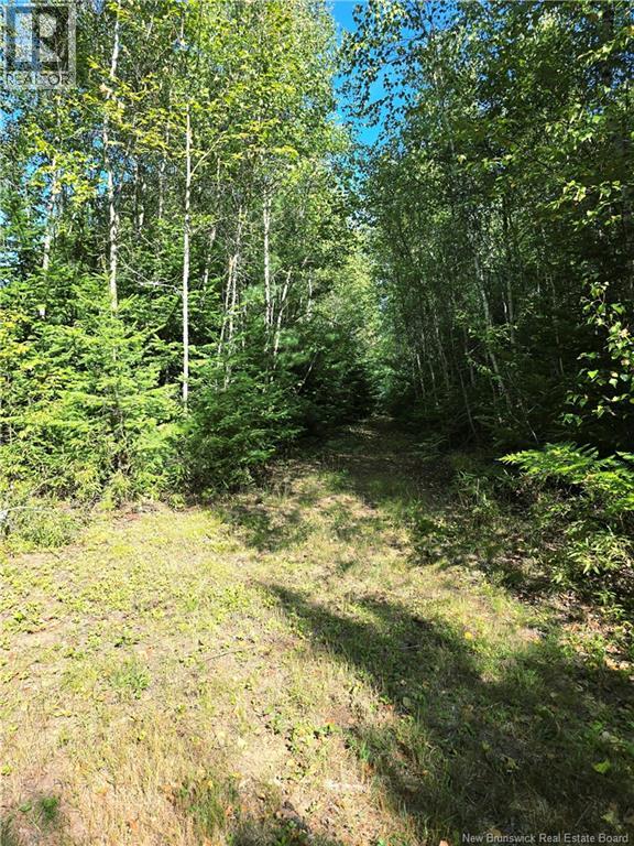 6396sm Ch Pointe à Tom, Pointe-À-Tom, New Brunswick  E1X 3X4 - Photo 6 - NB125266