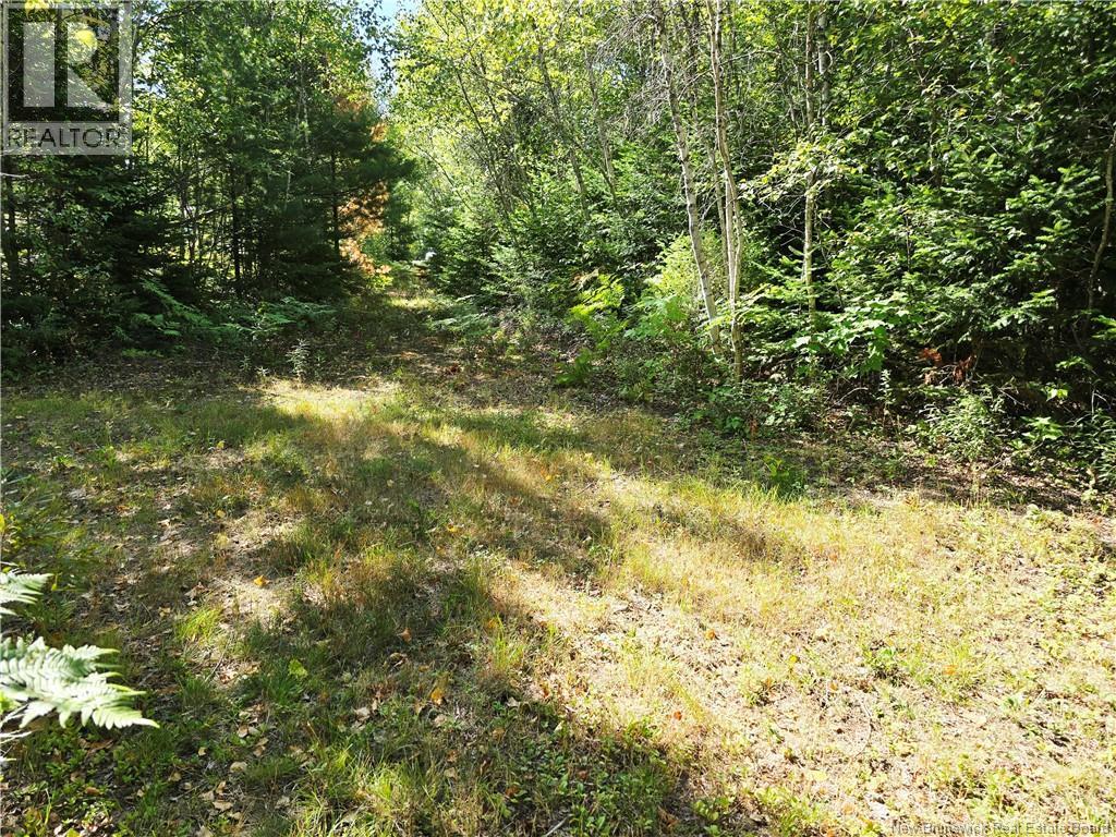 6396sm Ch Pointe à Tom, Pointe-À-Tom, New Brunswick  E1X 3X4 - Photo 7 - NB125266