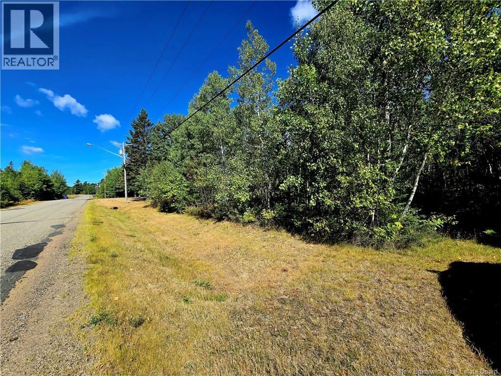6396sm Ch Pointe à Tom, Pointe-À-Tom, New Brunswick  E1X 3X4 - Photo 8 - NB125266
