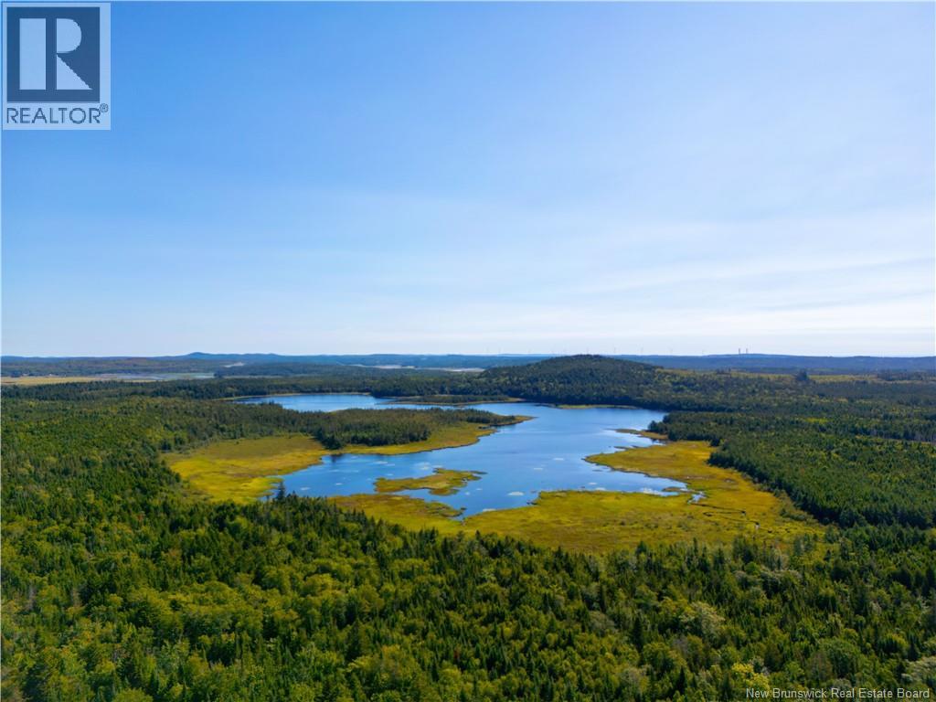 2614 Route 790, Chance Harbour, New Brunswick  E5J 2C6 - Photo 2 - NB125058