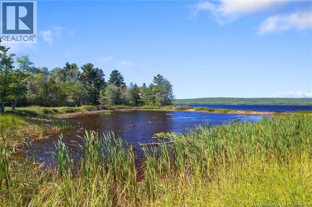 60 Mill Lane, Magaguadavic Lake, New Brunswick  E6K 1G5 - Photo 12 - NB125323