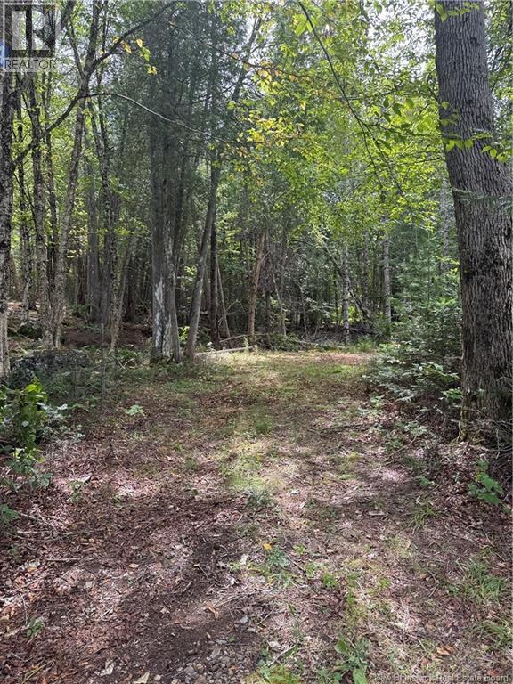 194 Upper Waweig Road, Waweig, New Brunswick  E3L 4N1 - Photo 1 - NB125317